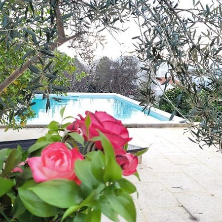 Quelfes La Casa D'Olhao 빌라 외부 사진